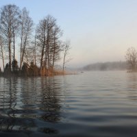 на озере туман :: liudmila drake