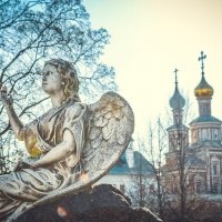 Новодевичий монастырь :: Katya Rim