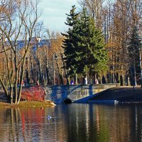 В Парке Победы. :: Александр Лейкум