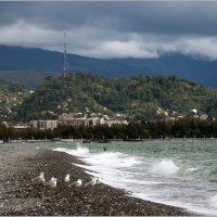 Сухум, Абхазия *** Sukhum, Abkhazia :: Александр Борисов