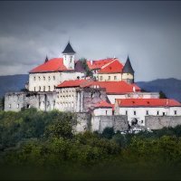 Мукачевский замок "Паланок" :: Елена Elena