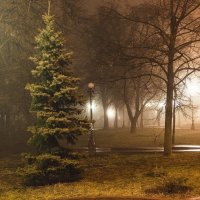 Вечер в тумане :: Роман Романенко