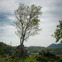 Бзыбский храм :: Олег Филиппов