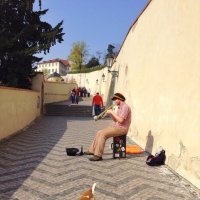 Уличный музыкант и его хвостатый помощник :: Ирина Бирюкова