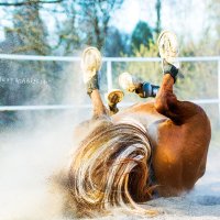 лошадь - это вторая душа конника. :: Alesya Safe