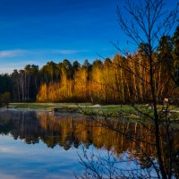 Рассвет на озере :: Елена Решетникова