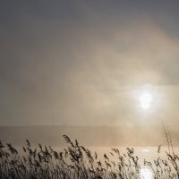 Рассвет в тумане :: Татьяна Жуковская