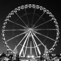 Jardin des Tuileries. Paris. :: Ольга Писарева