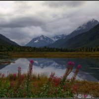 Аляска :: Gregory Regelman