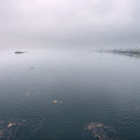 Волга в паводок :: Андрей ЕВСЕЕВ