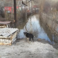 Потоп,Заречный :: Антон Домбровский
