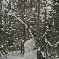Снежные скульптуры людей из снега в лесу. :: Валерий. Талбутдинов.