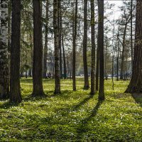 Прогулки в Царском Селе. В Екатерининском парке. :: Валентин Яруллин