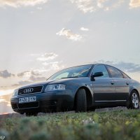 Audi :: Рома Даниленко