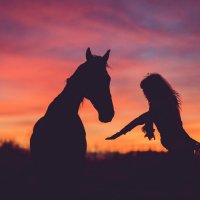 Лошадь на закате :: Irina Rykova