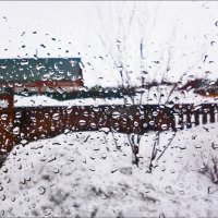 Зимний дождь :: Августина Ли