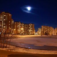 Лунная ночь в Южном Бутово :: Алексей Окунеев