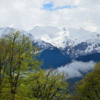 Снежные вершины в мае :: Александр Стариков