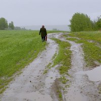 Дождливый день :: Валерий Талашов