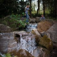 Водопад в Японском саду :: Мария Дронова