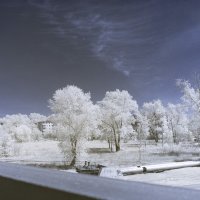 Высоко сижу-далеко гляжу :: Ser Gun ...