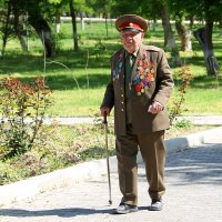 Прогулка ветерана :: Аркадий Краснояров