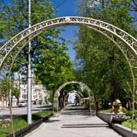 Ставрополь цветочные арки :: Дарья 