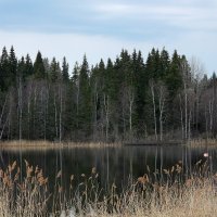 Весна в Карелии :: Светлана Гайдук