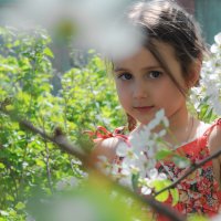 Весна :: Евгения Антипова