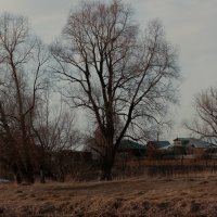 Незатейливый деревенский пейзаж :: Евгения Казанцева