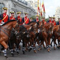 Главный военный парад в Мадриде :: Анжелика 