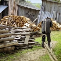 Возвращение из леса :: Валерий Талашов