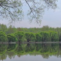 Майские пейзажи. :: Геннадий Александрович