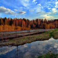 Весенние картины :: Александр Преображенский 