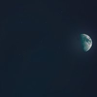 Moon :: Julia Demchenko