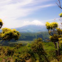 View of Fujiyama from hiking trail to the top of Kamiyama :: Nina Uvarova