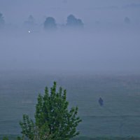 В туман :: Юрий Иваков