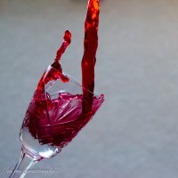 Wine Time :: Рома фото Сучинський