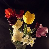 Весенние цветы :: Ирина Шершнева