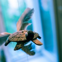 Летающая черепаха :: madesst 