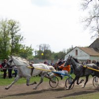 Летающие лошади... :: Эдуард Робатень
