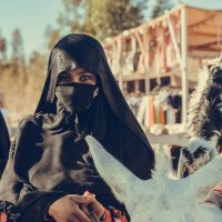 Бедуины :: Максим Клипа