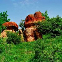 Каменные грибочки :: Alexander Varykhanov