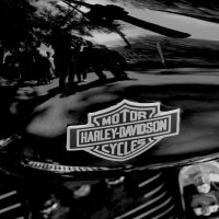 Harley :: Dmitriy Kelekhsayev