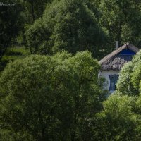 Дом в тиши :: Александр Великанов