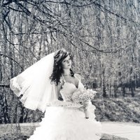 Wedding16 :: Irina Kurzantseva