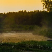 Рассвет :: Наталья Лакомова