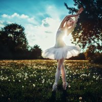 Sunny ballet :: Георгий Чернядьев