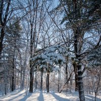 Зима :: Vadim Raskin