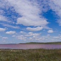 Розовое озеро :: Александр Крупский